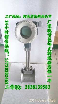 BTLUGB-CZ-15現場顯示內帶溫度補償蒸汽流量計 精準計量鍋爐飽和蒸汽的儀表利器