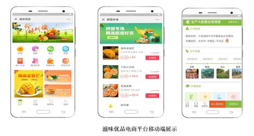 智慧農(nóng)業(yè)新篇章 1.28億元數(shù)字化服務(wù)，守護農(nóng)產(chǎn)品安全生命線